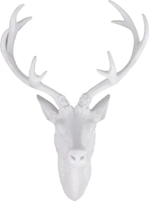 Produktbild von Hirschgeweih Hirschkopf Wanddeko Dekoration Wandschmuck Figur Geweih Weiß 20x30cm