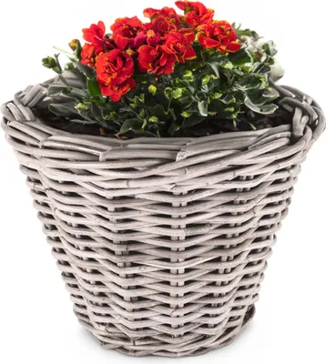 Produktbild von Rattan Pflanzkübel als hoher, runder Pflanztopf in 35 x 25 cm