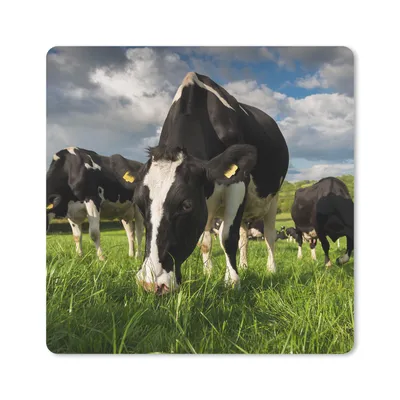 Produktbild von MuchoWow® Mauspad Mousepad Kühe - Tiere - Gras - Wiese - Bauernhof 20x20 cm - Mousepads - Maus Mat - Pad - Mausunterlage - Desk Mat - Bureauartikeln