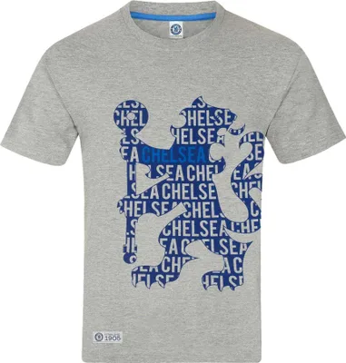 Produktbild von Chelsea FC - T-Shirt für Jungen GF634 (122) (Grau)