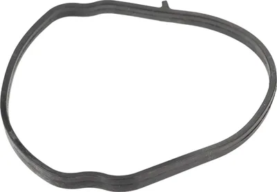 Produktbild von Original Ölpumpendeckeldichtung Alfa Romeo, Fiat, Lancia 55212608