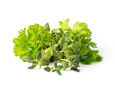Obrázok produktu pre Click & Grow Click & Grow Plant Pod Steak Mix 9pcs