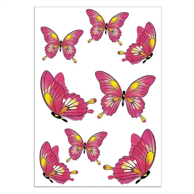Produktbild von Schmetterling Aufkleber-Set I kfz_187 I Bogen DIN A4 groß I 8 Sticker wetterfest I für Notebook Laptop Fenster Fliesen Fahrrad Kfz