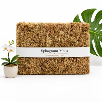 Produktbild von Sphagnum Moos 1000g, ca. 80L – stark Wasser-speicherndes Torfmoos für Orchideen, Monstera, Anthurium, Stecklinge, Terrarium & Zimmerpflanzen