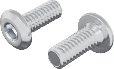 Obrázek produktu pro vidaXL Šroub s podložkou, 2 kusy, stříbrná barva, M6 x 15 mm, ocel