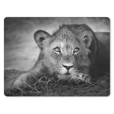 Produktbild von MuchoWow® Mauspad Mousepad Wildtiere - Löwe - Natur - Schwarz - Weiß 23x19 cm - Mousepads - Maus Mat - Pad - Mausunterlage - Schreibtischunterlage - Mauspad