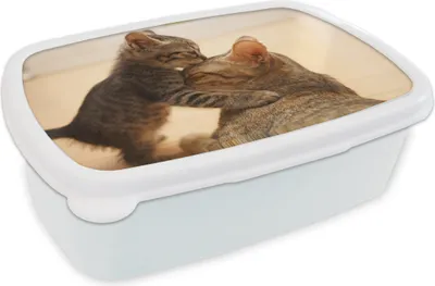 Produktbild von KitchenYeah® Lunchbox Brotzeit Brotdose 17x11 cm Ein Kätzchen mit seiner Mutter Kinder Brotzeitdose - Lunch Box - Kinder - Sandwich-Box - Schulbox - Lunch Boxen