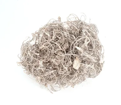 Produktbild von Curly Moos in Weiß gefärbt, (gefrostet (White Wash)) Gewicht ca. 50g