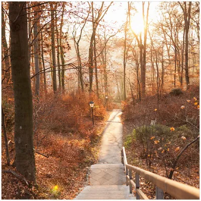 Produktbild von Wallario Premium Glasbild, freischwebende Optik, kräftige Farben, Größe 30 x 30 cm Motiv Weg in den Sonnenuntergang