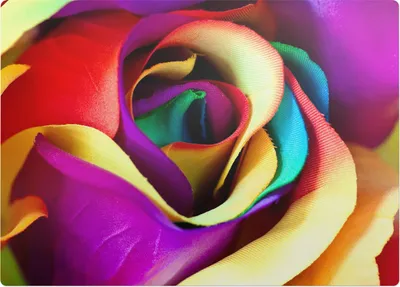 Produktbild von Bunte Regenbogenblume – Bodenschutzmatte – Rutschfest – Schutzmatte für Büro – Vinylmatte – Stuhlunterlage  – 140 x 100 cm