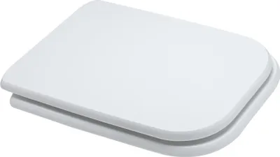 Immagine prodotto di Sedile wc compatibile conca bianco con cerniere universale