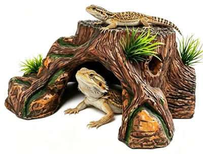 Produktbild von Solidchoice – Terrariendekoration mit Versteck für Bartagamen und Sonnenplattform