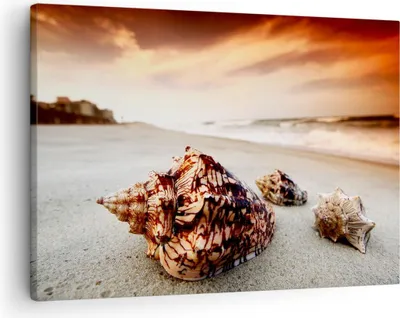 Produktbild von Bild auf Leinwand - Leinwandbild - Strand schön karibisch bunt - 70x50cm - Wand Bild - Wanddeko - Leinwanddruck - Bilder - Kunstdruck - Wanddekoration - Leinwand bilder - Wandkunst - AA70x50-2123