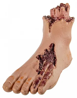 Produktbild von Ausgerissener, blutiger Fuß eines Zombies