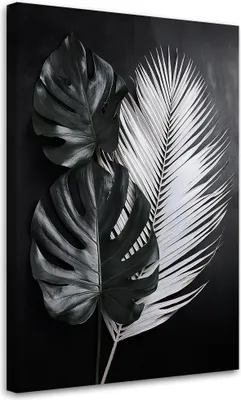 Produktbild von Leinwandbild Monstera-Blätter Schwarz-Weiß 60x90 Feeby Schwarz-Weiß bild für die wand bereit zum aufhängen