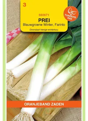 Imagen del producto de Semillas de puerro o cebolleta de la variedad "Oranjeband" - 1 paquete