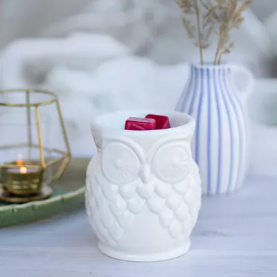 Obrázok produktu pre Aromatická lampa na čajové sviečky Candle Brothers, motív sovy, keramika, VxŠxH: 12x10x10 cm, aromaterapia, tip na darček, biela