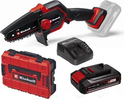 A collage of a cordless chainsaw kit, including the chainsaw, charger, battery, and case.