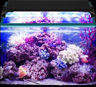 Produktbild von Jopassy 10W Aquarienbeleuchtung, Aquarium LED Beleuchtung, einstellbare Zeitschaltung einstellbare Helligkeit, für 35-50cm Fischbecken