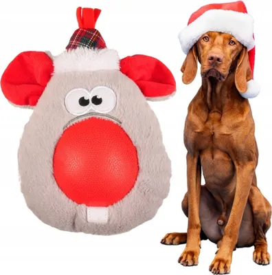 Image de Jouet de Noël pour chiens avec nez en caoutchouc rouge pour Noël