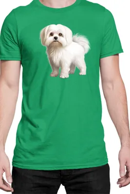 Immagine prodotto di Maglietta da uomo Dogs Breeds Maltese Dog Breed 005, Man S , Vert