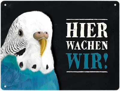 Produktbild von Hier wachen wir! Metallschild XL mit Wellensittich blau Motiv Schild