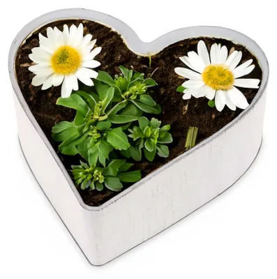 Produktbild von Große Herz Pflanzschale Vintage creme-weiß 25 x 24 cm Grabschmuck