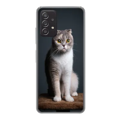 Produktbild von MuchoWow® Handyhülle Schutzhülle Hülle für Samsung galaxy a73 Katze - Haustiere - Licht Silikon Softcase Handy Hülle - Handyhülle