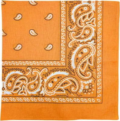 Imagen del producto de Pañuelo grande extra, de 27 x 27 pulgadas, 100% algodón, estampado paisley, para hombres y mujeres