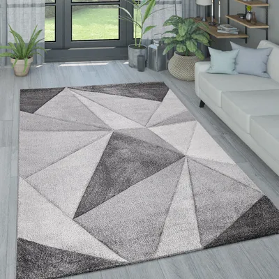 A modern living room with a geometric rug in shades of gray and white, a white sofa, and plants.