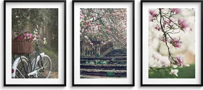 Obrázok produktu pre Nástenné plagáty do obývačky jarné stromy, bicykel 3x 50x70cm