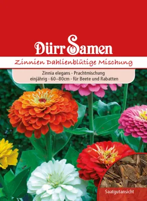 Produktbild von Dürr-Samen - Zinnien Dahlienblütige Prachtmischung einjährig 60-80 cm - Saatgut - 0741