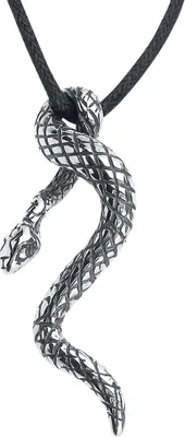 Produktbild von etNox Anhänger Uni Snake silberfarben Standard