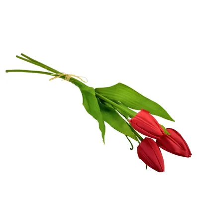 Image de Bouquet de 3 tulipes rouges de 50 cm