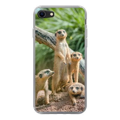 Produktbild von MuchoWow® Handyhülle Schutzhülle Hülle für iPhone 7 Erdmännchen - Familie - Tiere Silikon Softcase Handy Hülle - Kartenhalter