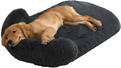 Image de Grand lit pour chien antidérapant et lavable, Kalmerer pour grands chiens, gris foncé, taille M