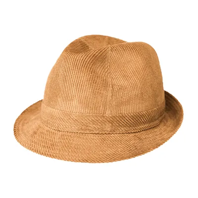 Produktbild von Fiebig Stoffhut Trilby Cord uni Beige Gr. 58
