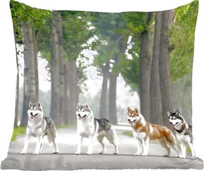 Produktbild von MuchoWow® Zierkissen Sofakissen Wohnzimmer Dekokissen 45x45 cm Vier Huskys zwischen den Bäumen - Schlafpolster - Polster für das Sofa