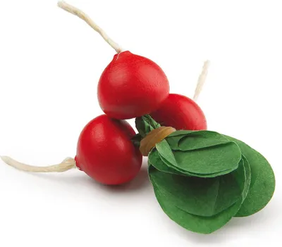 A close-up studio shot of three red radishes with green leaves tied together with a rubber band and a string.