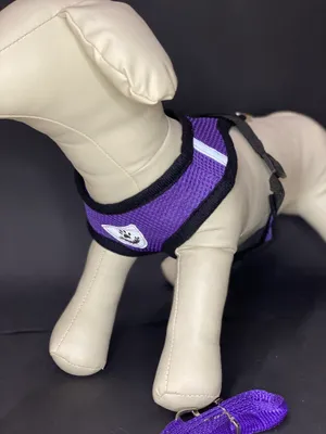 Produktbild von REFLEX Hundegeschirr mit Leine M - lila