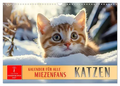 Produktbild von Katzen - Kalender für alle Miezenfans (Wandkalender 2027 DIN A3 quer), CALVENDO Monatskalender