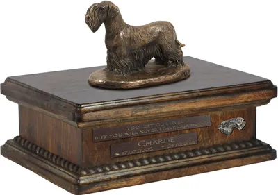 Zdjęcie produktu dla Terier czeski, Cesky Terrier - urna na psie prochy, personalizowana urna ze statuetką, drewniana urna z psem marki Art-Dog