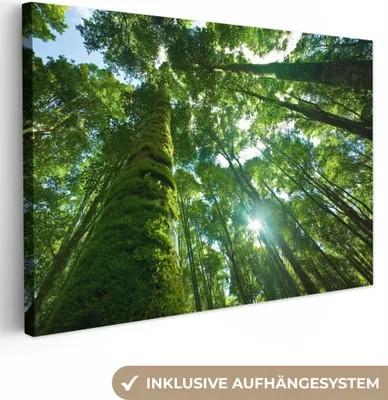 Produktbild von OneMillionCanvasses® - Leinwandbilder - 150x100 cm, Tropischer Dschungel in Asien, Wandbilder Kunstdruck Wanddekoration