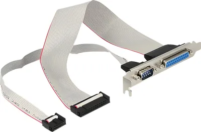 Immagine prodotto di Delock 83445 DELOCK Slotblech 1x D-Sub25 + 1x D-Sub9