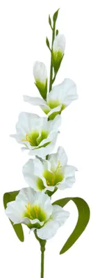 Produktbild von Künstliche Gladiole ca. 60cm Schwertlilie weiß WEISS