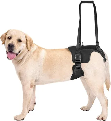 Immagine prodotto di Imbracatura per cani, supporto per cani, imbracatura di sollevamento per cani di taglia media e grande, imbracatura di sollevamento per cani, supporto per zampe posteriori per cani - nero, taglia L