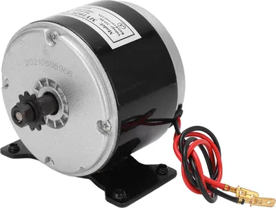 Immagine prodotto di YH1016 Motore elettrico spazzolato 24V 250W 2750 giri/min ad alta velocità per scooter