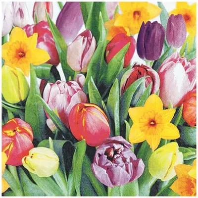 Produktbild von Servietten 33x33 cm - Bouquet of Tulips