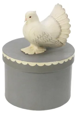 Productafbeelding van Meanderduif, verpakt in een doos van 17,5 x 23,5 cm