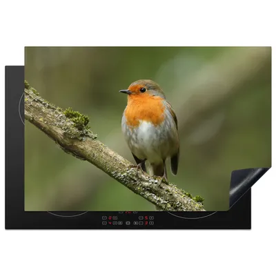 Obrázek produktu pro KitchenYeah® Krycí deska na sporák pták - robin - větev - rostliny, 77x51cm, dekorace do kuchyně, keramická krycí deska, krycí deska na varnou desku